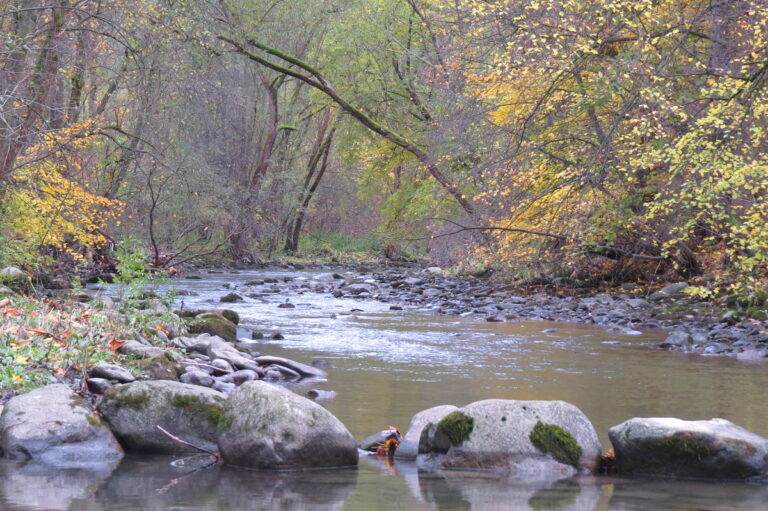 Reconstruction of springs in the Veľká Fatra National Park