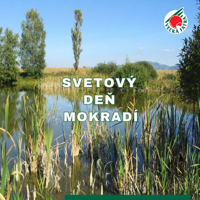 Svetový deň mokradí