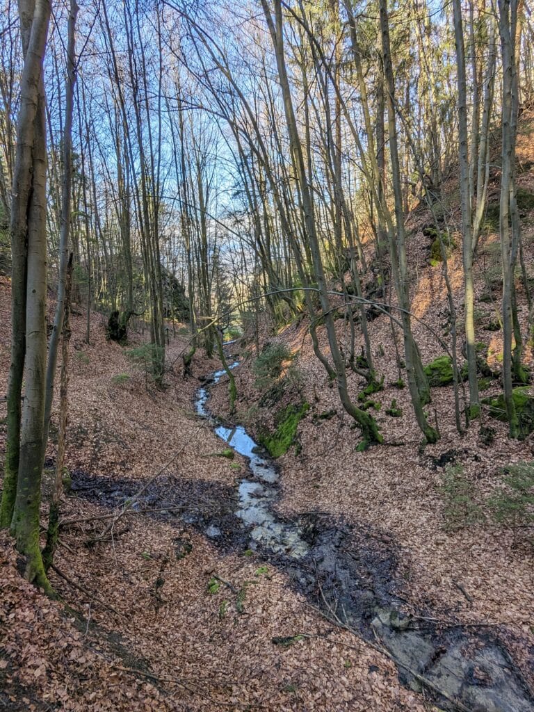 Tiešňava Nature Trail