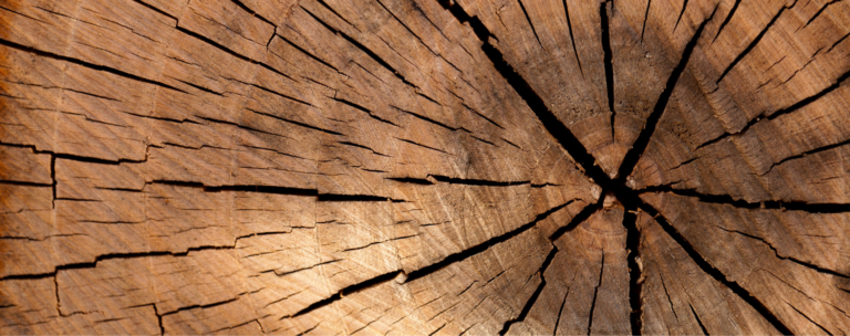Fiber wood offer