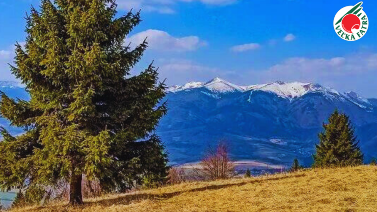 Nolčovská Magura
