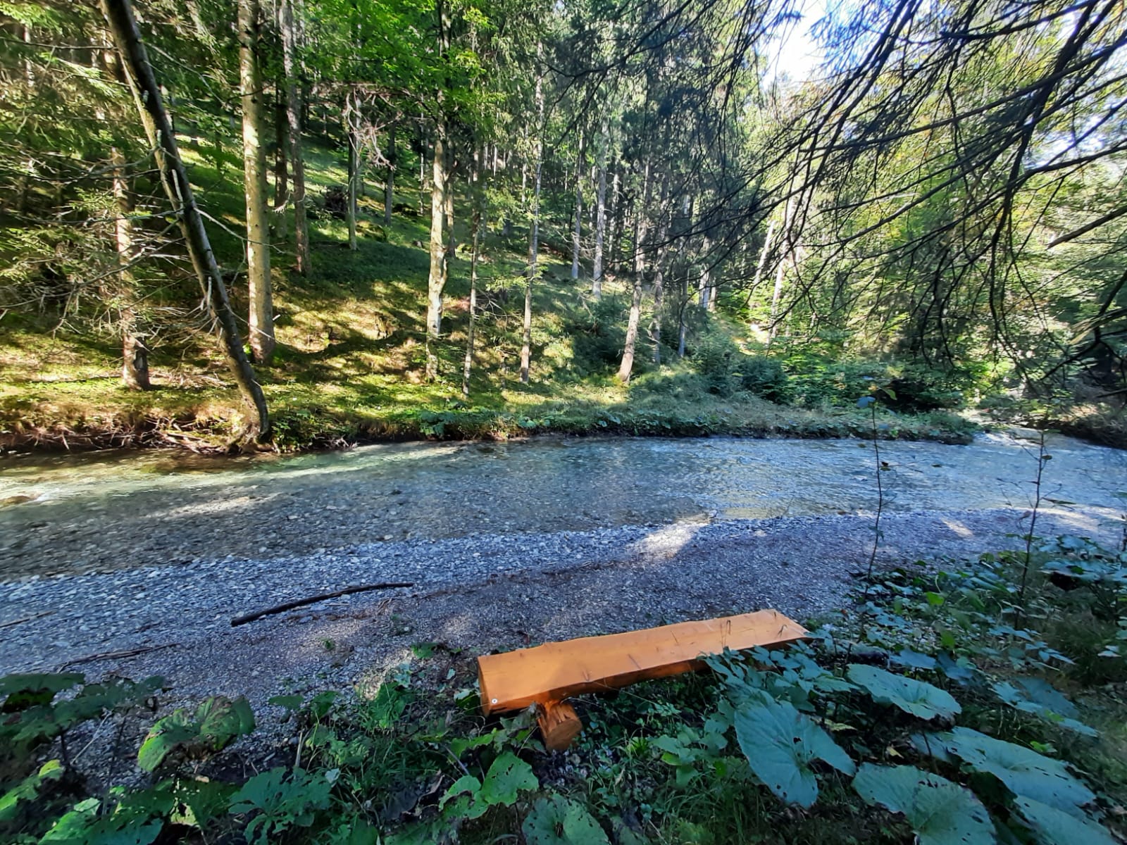 IMG 20240925 WA0006