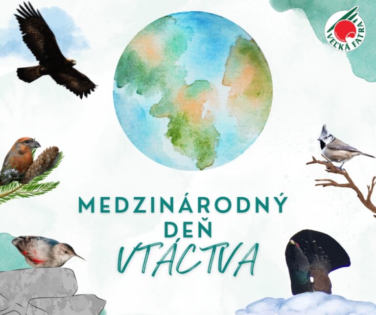 International Bird Day