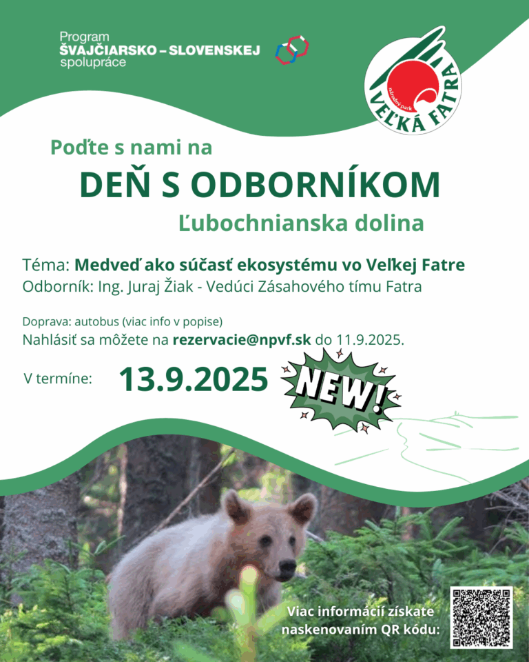 A day with an expert on the topic of Brown bear as part of the ecosystem of the Veľká Fatra