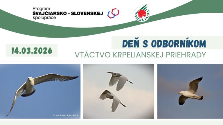 Invitation to the Day with an Expert – Birds of the Krpelany Dam