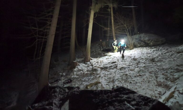 Intervention of the Fatra Intervention Team after a brown bear attack