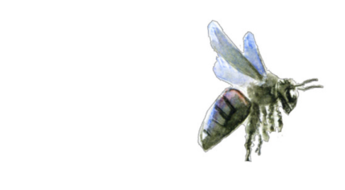 Pollinators – Butterfly Spells 2