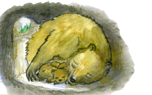 Beasts in NPVF – brown bear 2