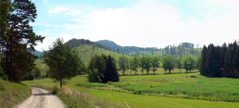 A walk through the Mošov district