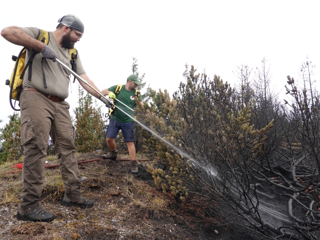 fire sny05201